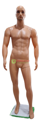 Maniqui Cuerpo Entero Hombre Plastico Brazos Fitness 195cm