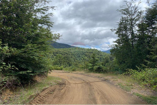 Parcelas Bosques De Palguin - Pucón