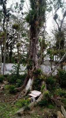 Imagem 3 de 14 de Ampla Chácara 4dorm, Itanhaém- Pq Vergara À Venda. 9606