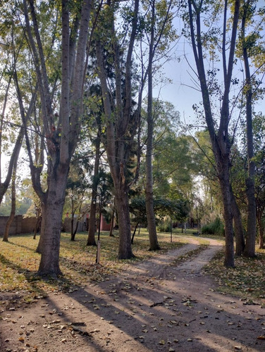 Imagen 12 de 29 de Casa Quinta, Alquiler, Dueño Directo