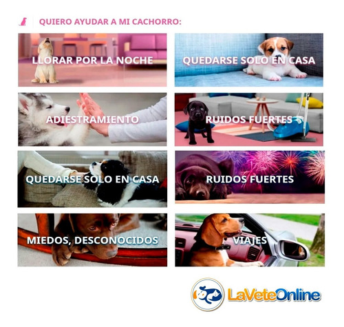 Imagen 4 de 10 de Adaptil Collar Feromona Perros Grandes Ansiedad Anti Stress