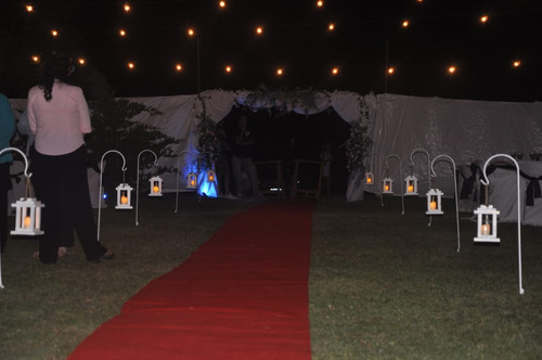 Alquiler De Alfombra Para Eventos