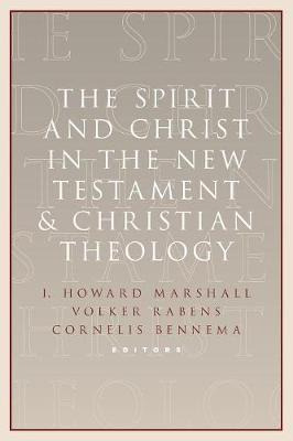 Libro The Spirit And Christ In The New Testament And Chri...