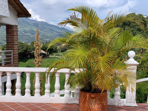 Cómoda Finca En Barbosa
