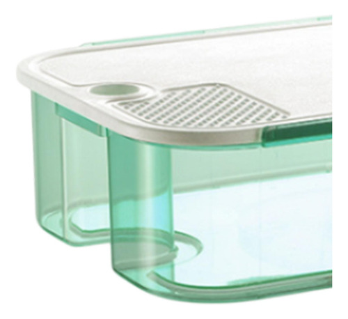 Recipiente De Armazenamento De Alimentos Recipiente De Verde
