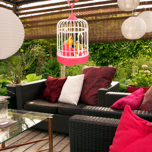 Pájaro De Inducción Activado Por Voz Bird Cage