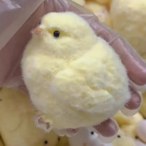Pintinhos Macios Taba | Juguete Fidget De Frango Taba