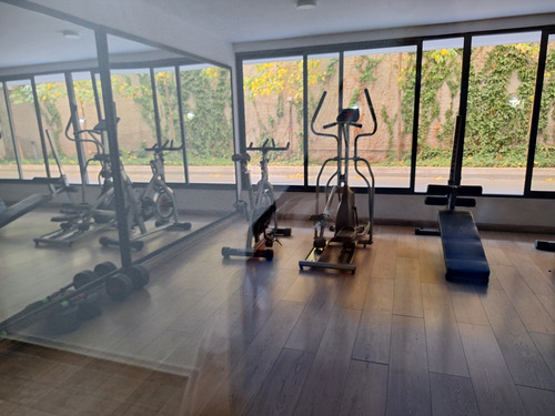Arriendo Dp Estudio Amplio 1b Terraza Gorbea Stgo