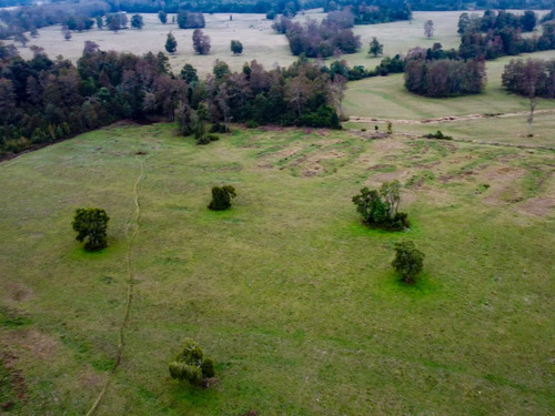Imagen 10 de 13 de Campo Subdividido De 49,2ha - Villarrica