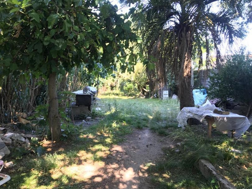 Cno Maldonado Casi Rosario - Buena Casa Con Apto Y Amplio Terreno