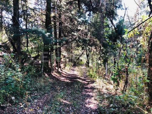 Terreno Venta Cocuatla Tepoztlan San Juan Tlacotenco Ocotes Tepoztlan Morelos