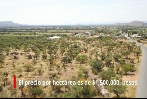 Imagen 3 de 5 de Terreno En Venta