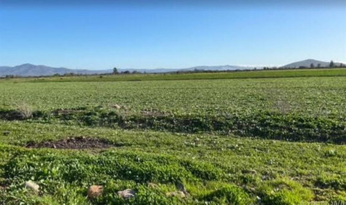 Agrícola En Venta En Ovalle