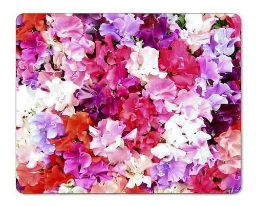 10 Gramos Semillas De Lathyrus Odoratus - Chicharo De Olor