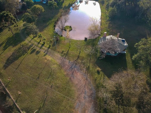 Imagem 8 de 29 de Fazenda À Venda Na Francisco Schena, Roseira, Campina Grande Do Sul - Pr - Liv-17183