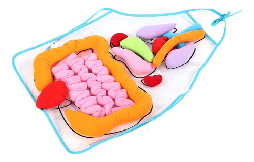 Juguete Didáctico Para Niños Viscera Utensilio Educativo Par