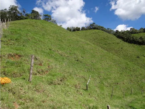Finca En Venta La Unión Via Abejorral Antioquia. 83 Hectareas
