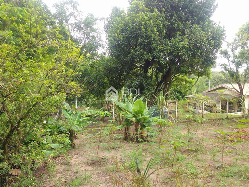 Chácara À Venda Em Bairro Dos Pires - Ch003273