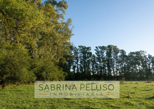 Venta Lote/terreno Plomer