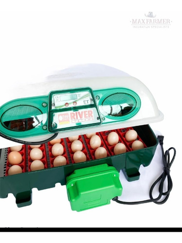 Imagen 3 de 7 de Incubadora Italiana 12 Huevos River Automática Pollos, Aves