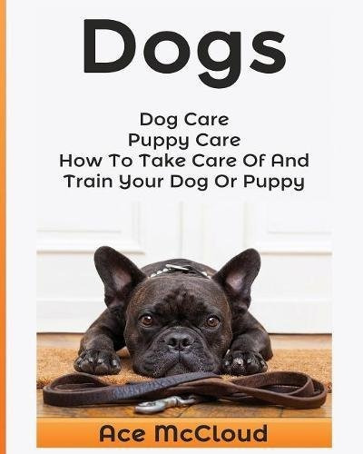 Dogs Dog Care Puppy Care How To Take Care Of And Train Your 