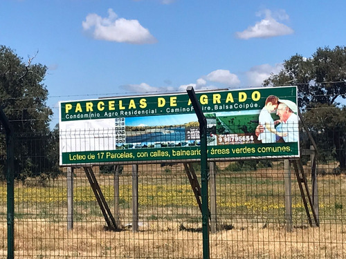 Oferta! Parcela Con Acceso Exclusivo Al Rio Tolten