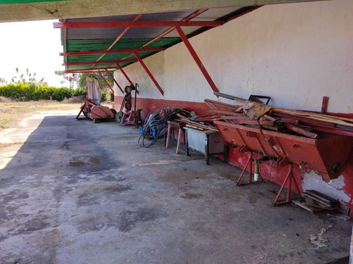 Imagen 21 de 24 de Hato En Venta En Santa Bárbara De Barinas