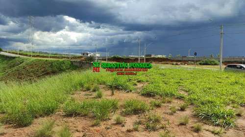Imagem 4 de 11 de Terreno Comercial No Bairro Da Floresta Em Sjc - 2283