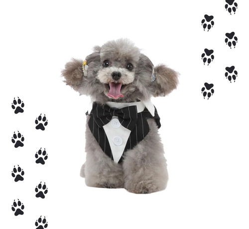 Traje De Boda Para Mascotas | Traje Elegante Smoking Azul