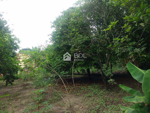 Imagem 20 de 27 de Chácara À Venda Em Bairro Dos Pires - Ch003273