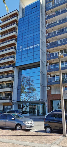 Imagen 2 de 14 de Parque Rodo Venta Con Renta Oficina 117m2 Con Vista Al Mar Cw182051