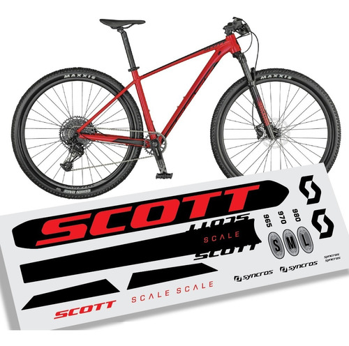 Calcos Scott Scale 2021