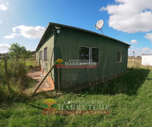Chacra 4 Has Cno Calpino En Montevideo Rural