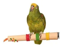 Comprar Percha Ejercicio Pedicuras Aves Loros Jaulas Forage Superpet