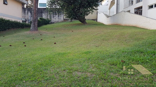 Imagem 1 de 1 de Venda De Terreno No Residencial 9 -alphaville - 549