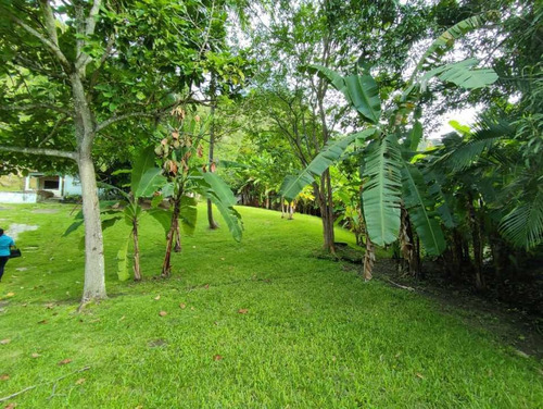 Imagen 21 de 30 de Venta De Terreno Amplio Con Bienhechurias, El Castaño Edo Aragua