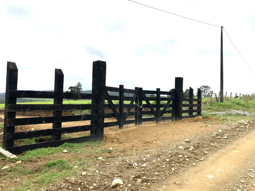 Venta Parcela 5.000 Mts.2 - Los Muermos