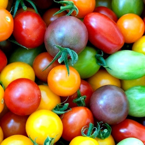 30 Sementes De Tomate Cereja Arco Iris - Cherry Rainbow