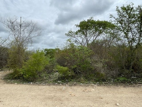 Terreno En Esquina En Venta Cholul