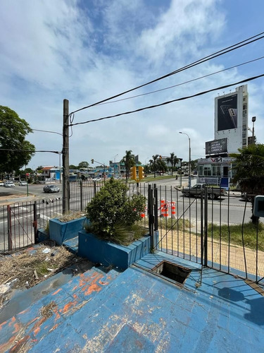 Imagen 5 de 8 de Local En Venta En Malvin (ref: Vld-2934)