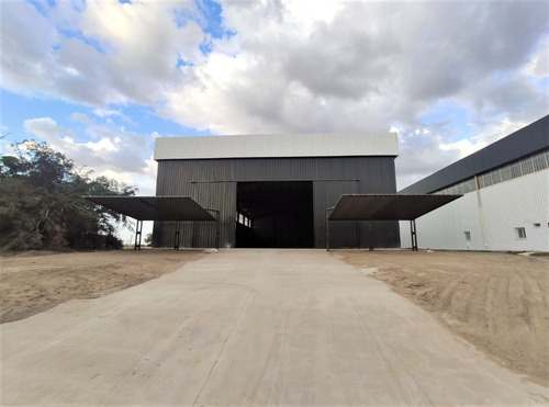Imagen 5 de 11 de Polo 52 Nave Industrial Galpon En Alquiler