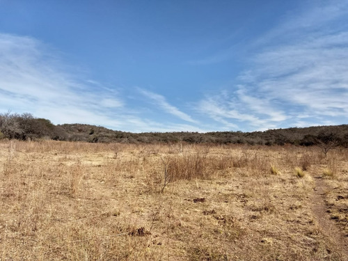 Imagen 6 de 17 de Campo De 100 Hectareas Con Casa En Tulumba, Provincia De Cordoba
