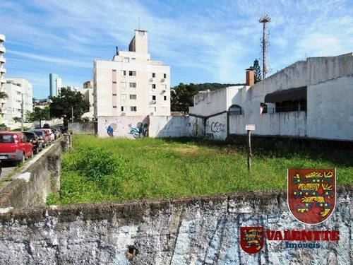 Imagem 11 de 14 de Terreno - Trindade - Ref: 761 - V-761