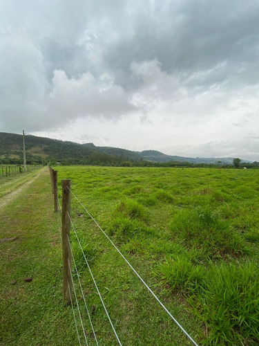 Imagem 3 de 14 de S01- 1.000m² Apenas 49.990 /100% Plano