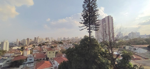 Imagem 11 de 15 de Aclimação - Apto. Novo 2 Dorms, Suite, Terraço, 1 Vaga - Exc - 25108