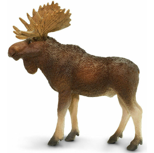Alce Macho Safari Figura Muñeco Safari Animal Colección Tx