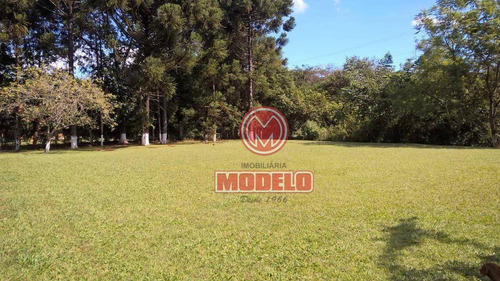 Imagem 8 de 30 de Chácara Residencial À Venda, Santana, São Pedro. - Ch0048