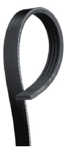 Banda Accesorios C/aac/ Infiniti Q45 4.1l 8 Cil 1996 A 2001