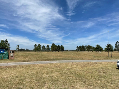 Imagen 1 de 14 de Terreno - Club De Campo Las Hojas