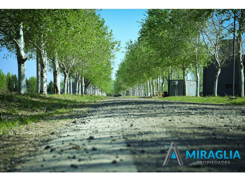 Imagen 9 de 12 de Terrenos- Lotes- Pinares Del Sur- Piñero- Barrio Cerrado